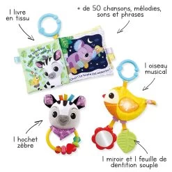 VTECH BABY Coffret Naissance Bébés Animaux 8 VTECH BABY Coffret Naissance Bébés Animaux -VTech Promos Boutique 80 562505 visuel fleches